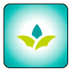 Sprout